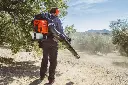 20190917_3894613455d80f99679df0.webp
