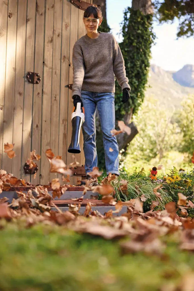 img (2).webp