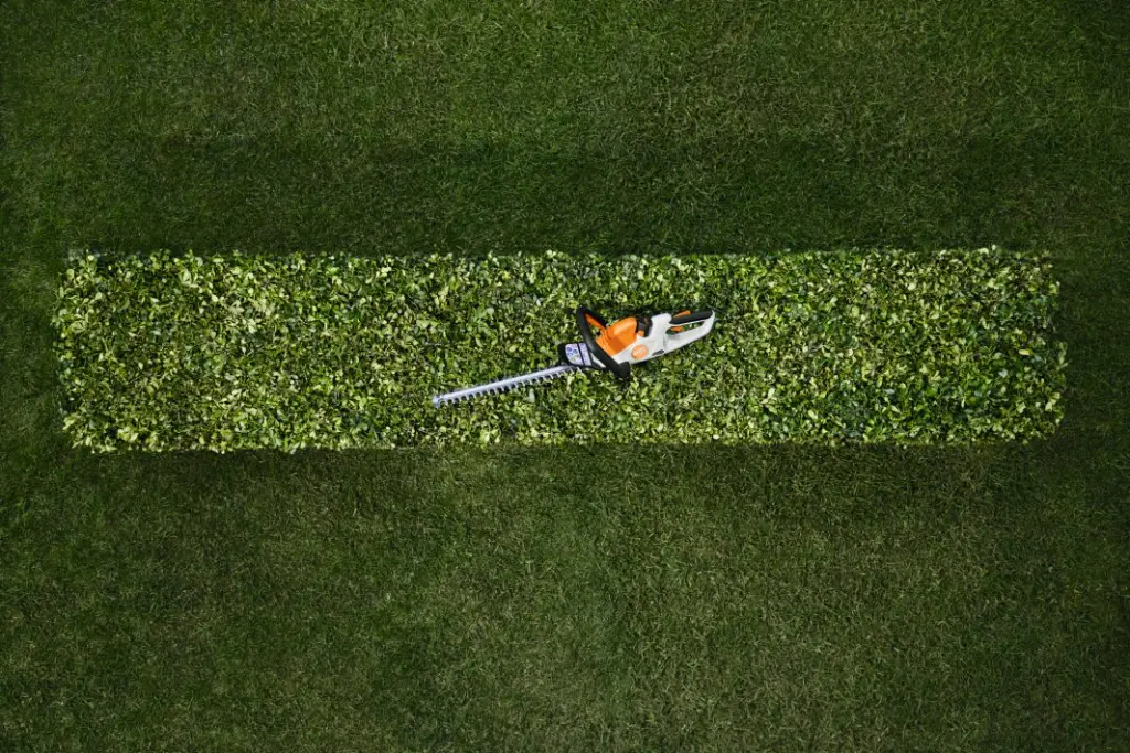 img (11).webp