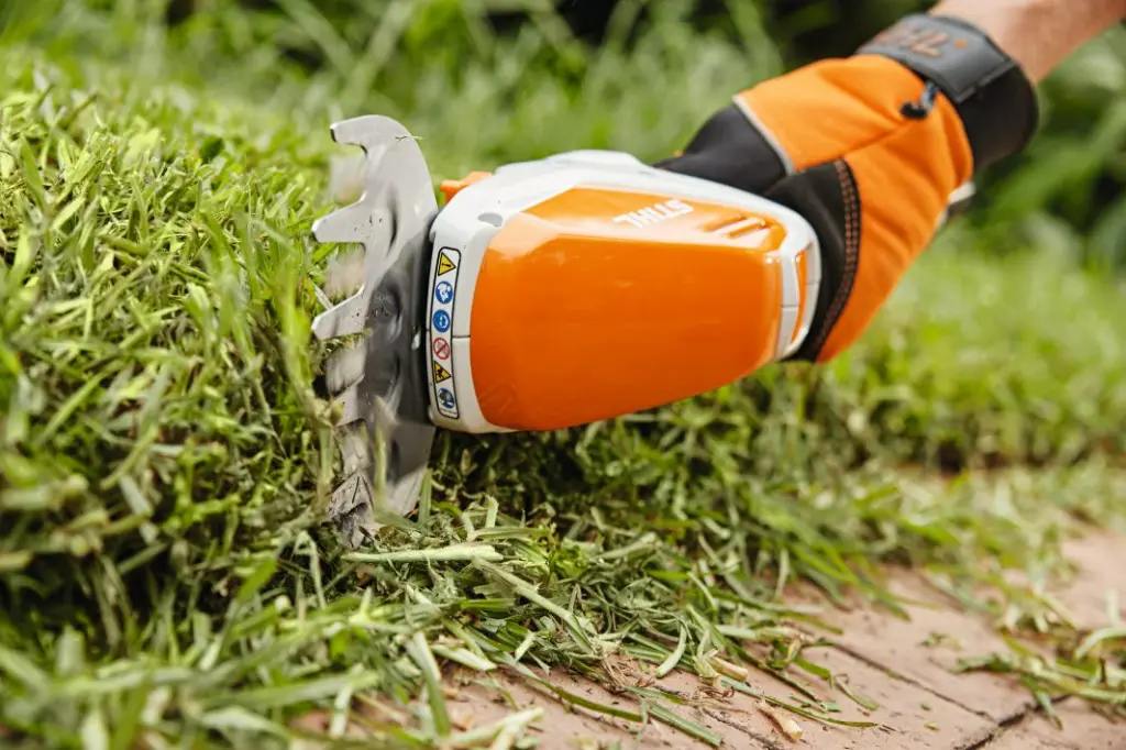 img (2).webp