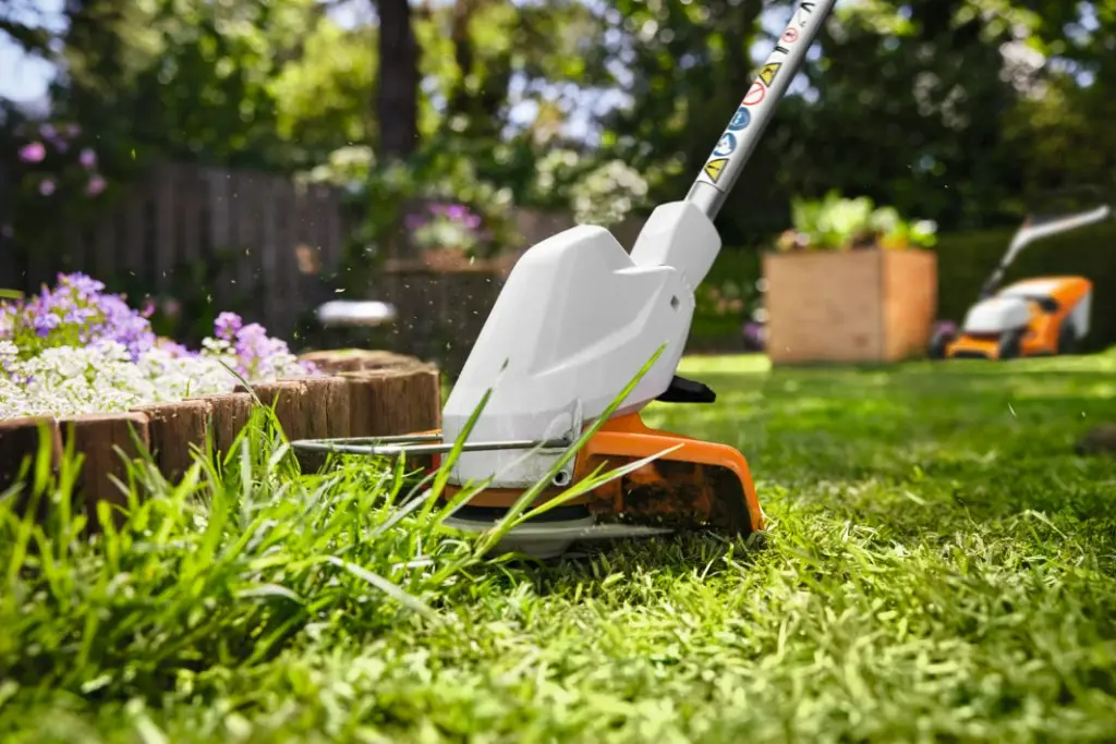 img (26).webp