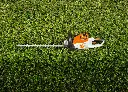 img (58).webp