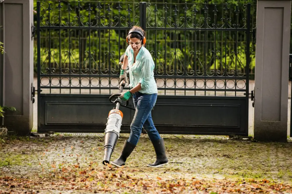 img (12).webp