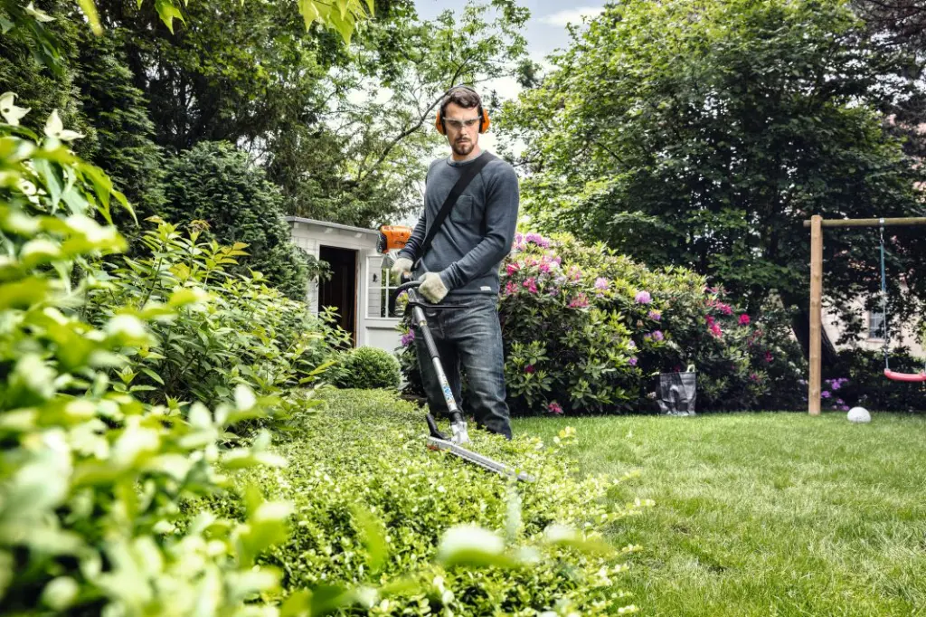 img (14).webp