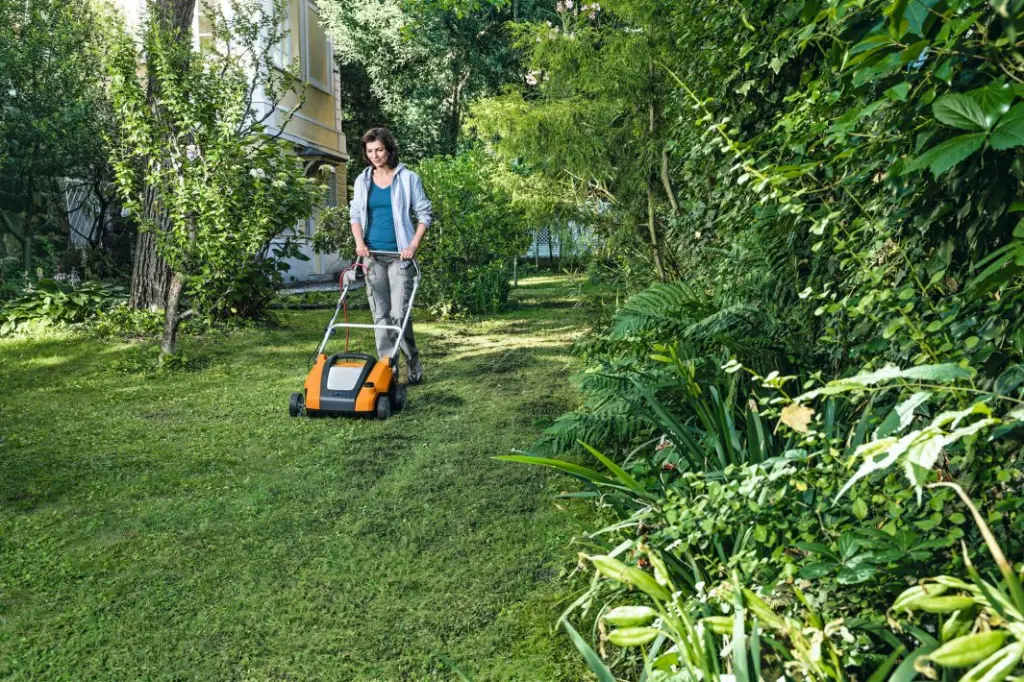 img (8).webp