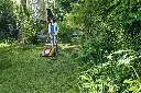 img (8).webp