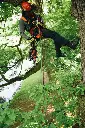 20161024_1722060049580df198dc254.webp